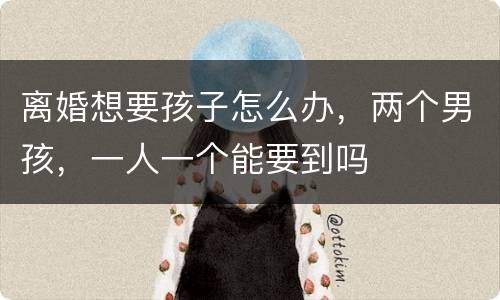 离婚想要孩子怎么办，两个男孩，一人一个能要到吗