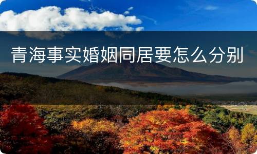 青海事实婚姻同居要怎么分别