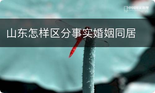 山东怎样区分事实婚姻同居