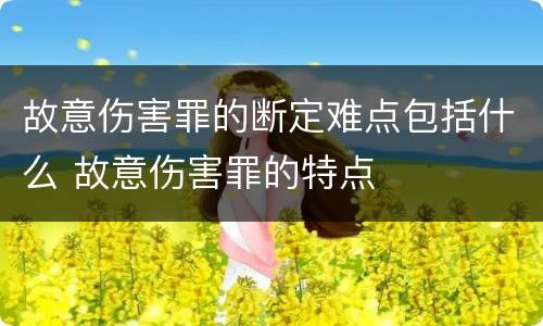 故意伤害罪的断定难点包括什么 故意伤害罪的特点