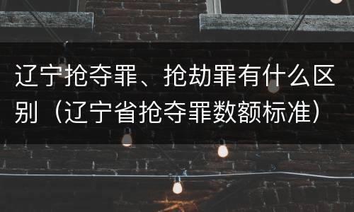 辽宁抢夺罪、抢劫罪有什么区别（辽宁省抢夺罪数额标准）