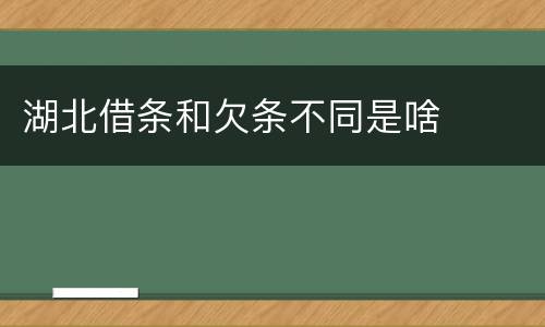 湖北借条和欠条不同是啥