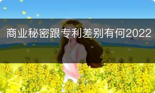 商业秘密跟专利差别有何2022