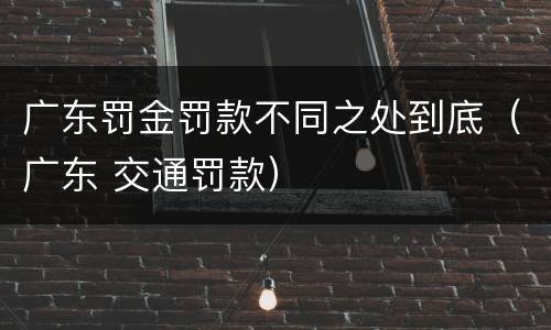 广东罚金罚款不同之处到底（广东 交通罚款）