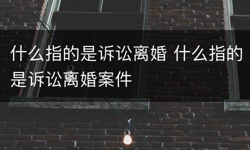 什么指的是诉讼离婚 什么指的是诉讼离婚案件