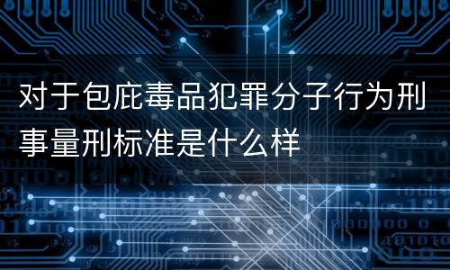 对于包庇毒品犯罪分子行为刑事量刑标准是什么样