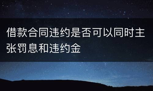 借款合同违约是否可以同时主张罚息和违约金
