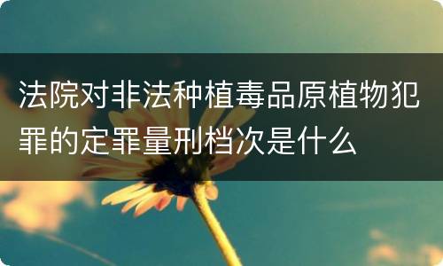 法院对非法种植毒品原植物犯罪的定罪量刑档次是什么