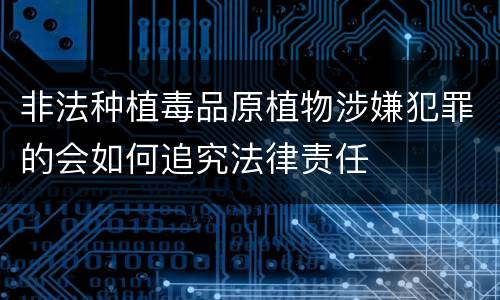 非法种植毒品原植物涉嫌犯罪的会如何追究法律责任