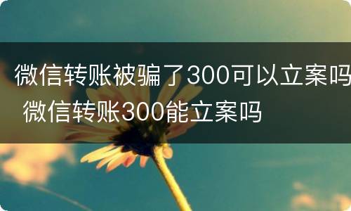 微信转账被骗了300可以立案吗 微信转账300能立案吗