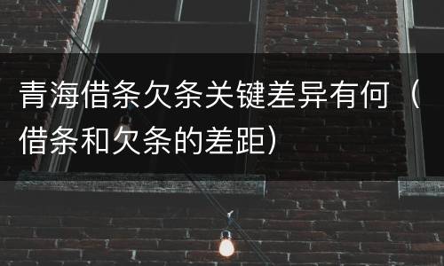 青海借条欠条关键差异有何（借条和欠条的差距）