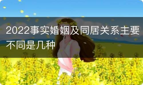 2022事实婚姻及同居关系主要不同是几种