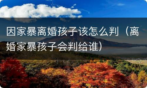 因家暴离婚孩子该怎么判（离婚家暴孩子会判给谁）