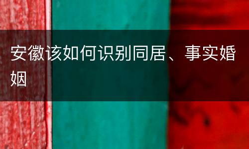 安徽该如何识别同居、事实婚姻