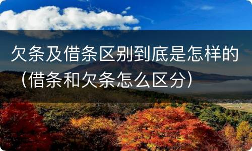 欠条及借条区别到底是怎样的（借条和欠条怎么区分）