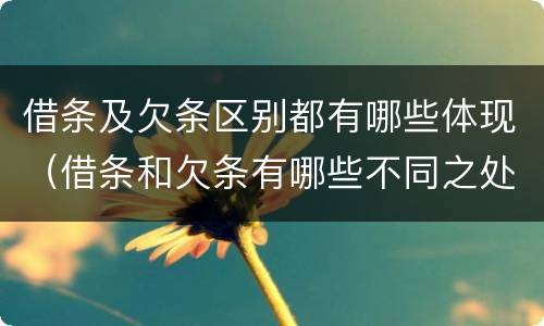 借条及欠条区别都有哪些体现（借条和欠条有哪些不同之处）