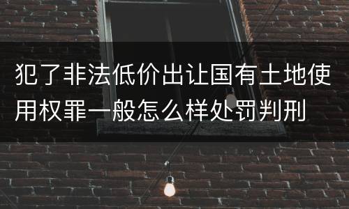 犯了非法低价出让国有土地使用权罪一般怎么样处罚判刑