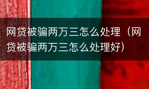 网贷被骗两万三怎么处理（网贷被骗两万三怎么处理好）