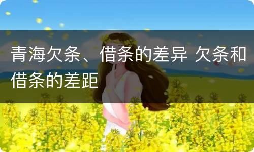 青海欠条、借条的差异 欠条和借条的差距