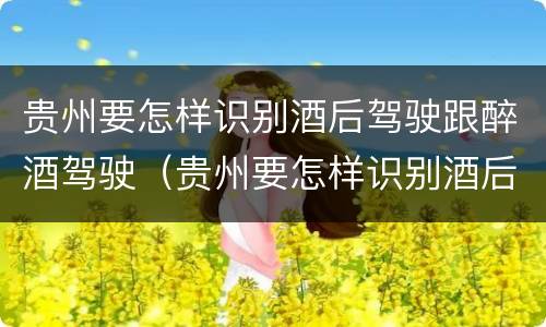 贵州要怎样识别酒后驾驶跟醉酒驾驶（贵州要怎样识别酒后驾驶跟醉酒驾驶的人）