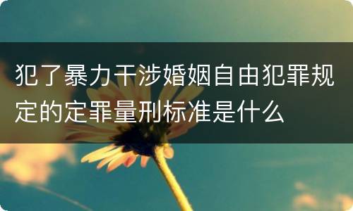 犯了暴力干涉婚姻自由犯罪规定的定罪量刑标准是什么