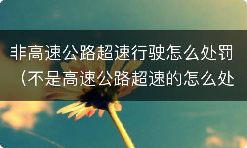 非高速公路超速行驶怎么处罚（不是高速公路超速的怎么处罚的?）