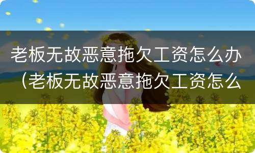 老板无故恶意拖欠工资怎么办（老板无故恶意拖欠工资怎么办呢）
