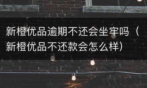 新橙优品逾期不还会坐牢吗（新橙优品不还款会怎么样）
