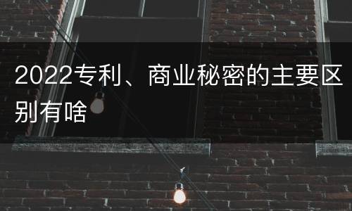 2022专利、商业秘密的主要区别有啥