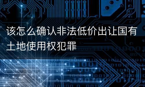 该怎么确认非法低价出让国有土地使用权犯罪