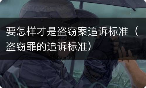 要怎样才是盗窃案追诉标准（盗窃罪的追诉标准）