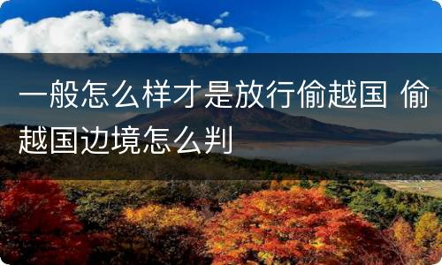 一般怎么样才是放行偷越国 偷越国边境怎么判