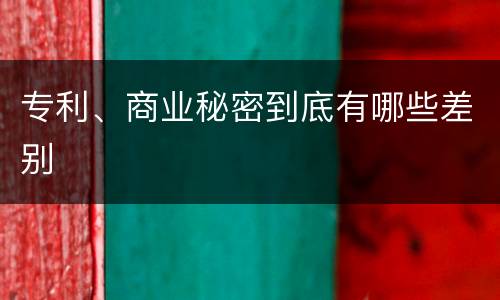专利、商业秘密到底有哪些差别