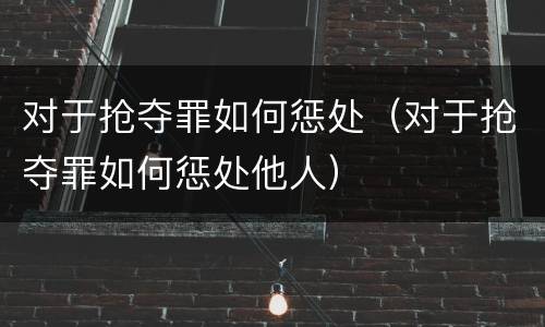 对于抢夺罪如何惩处（对于抢夺罪如何惩处他人）