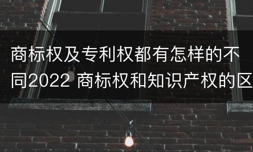 商标权及专利权都有怎样的不同2022 商标权和知识产权的区别