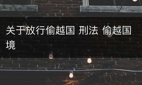 关于放行偷越国 刑法 偷越国境