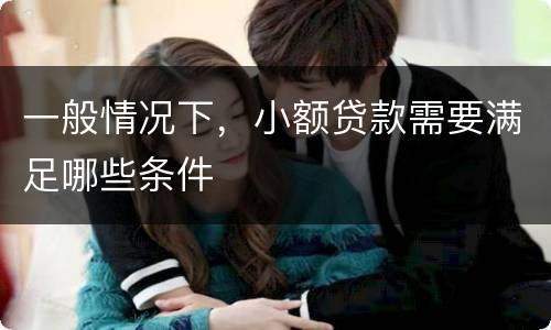 一般情况下，小额贷款需要满足哪些条件