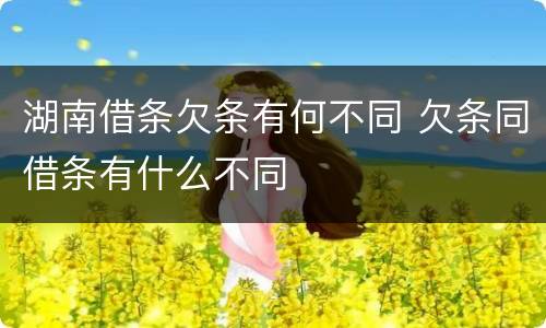 湖南借条欠条有何不同 欠条同借条有什么不同