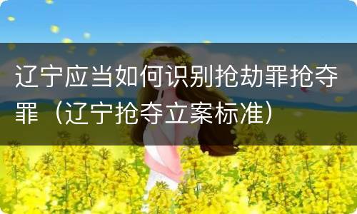辽宁应当如何识别抢劫罪抢夺罪（辽宁抢夺立案标准）