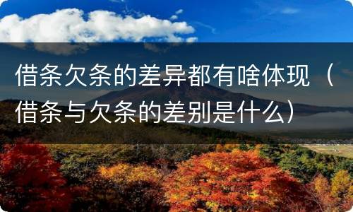 借条欠条的差异都有啥体现（借条与欠条的差别是什么）
