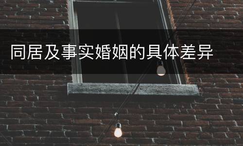 同居及事实婚姻的具体差异