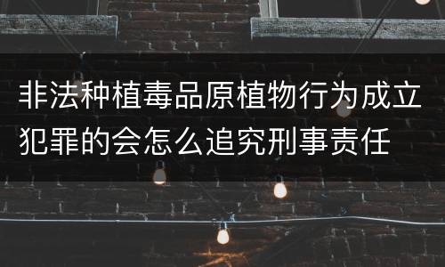 非法种植毒品原植物行为成立犯罪的会怎么追究刑事责任