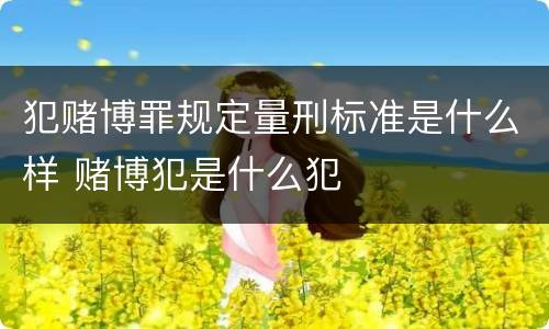犯赌博罪规定量刑标准是什么样 赌博犯是什么犯