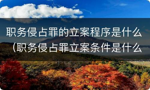 职务侵占罪的立案程序是什么（职务侵占罪立案条件是什么）