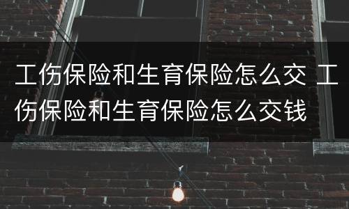 工伤保险和生育保险怎么交 工伤保险和生育保险怎么交钱
