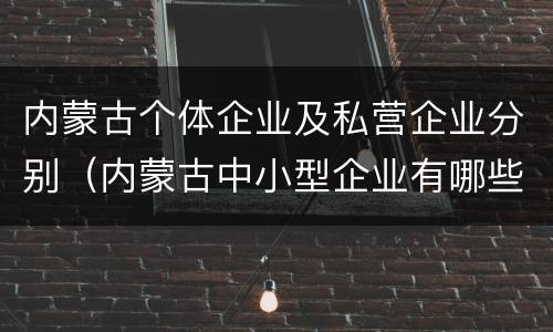 内蒙古个体企业及私营企业分别（内蒙古中小型企业有哪些）