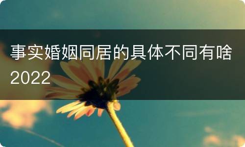 事实婚姻同居的具体不同有啥2022