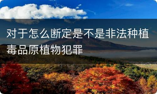 对于怎么断定是不是非法种植毒品原植物犯罪