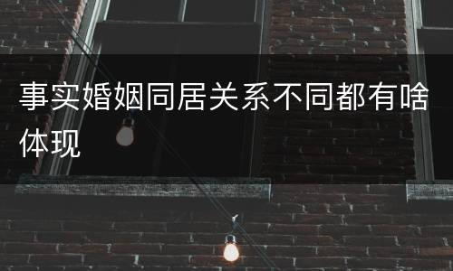 事实婚姻同居关系不同都有啥体现