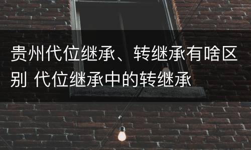 贵州代位继承、转继承有啥区别 代位继承中的转继承